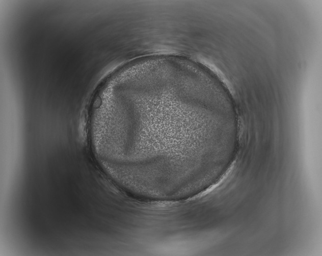 X0000101711163200807311446