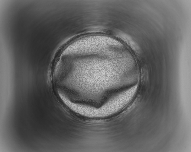 X0000101711164200807311446