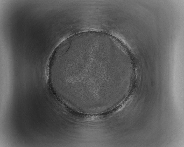 X0000101711165200807311446