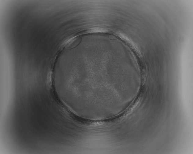 X0000101711169200807311446