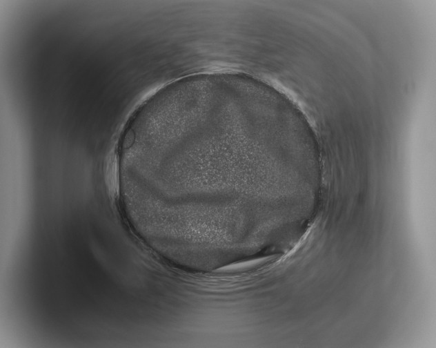 X0000101711171200807311446