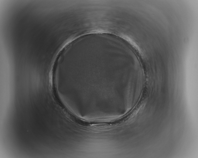 X0000101711173200807311446