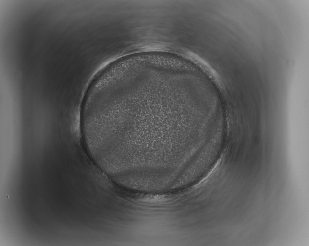 X0000101711174200807311446