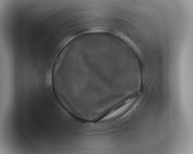 X0000101711177200807311446