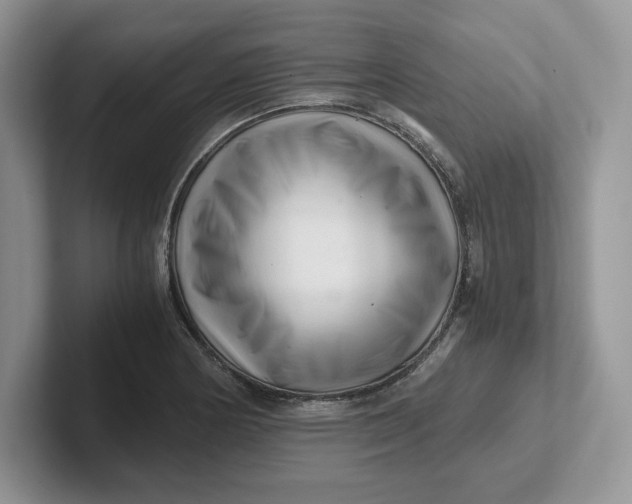 X0000101711178200807311446