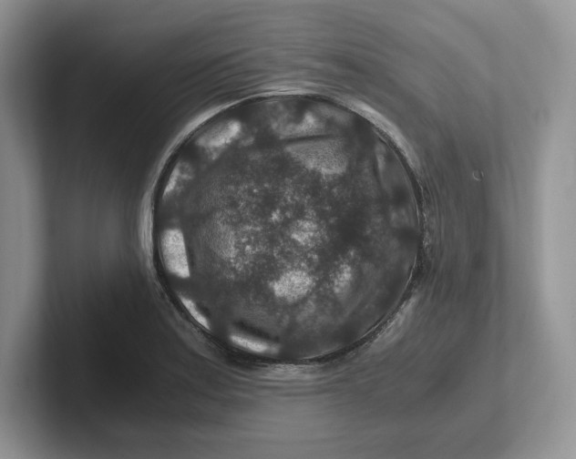 X0000101711179200807311446