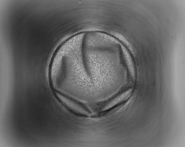 X0000101711181200807311446