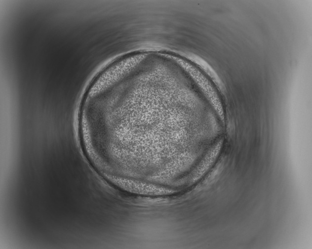 X0000101711183200807311446