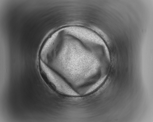 X0000101711184200807311446