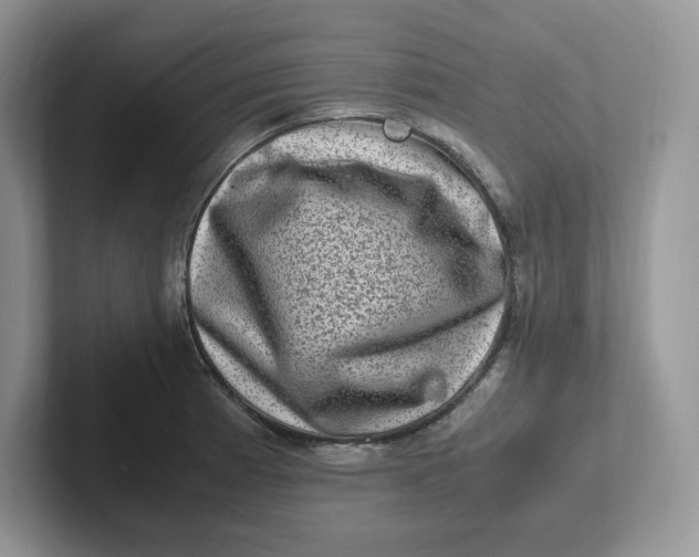 X0000101711185200807311446