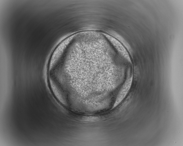 X0000101711187200807311446