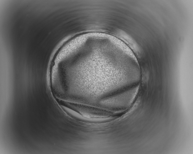 X0000101711188200807311446