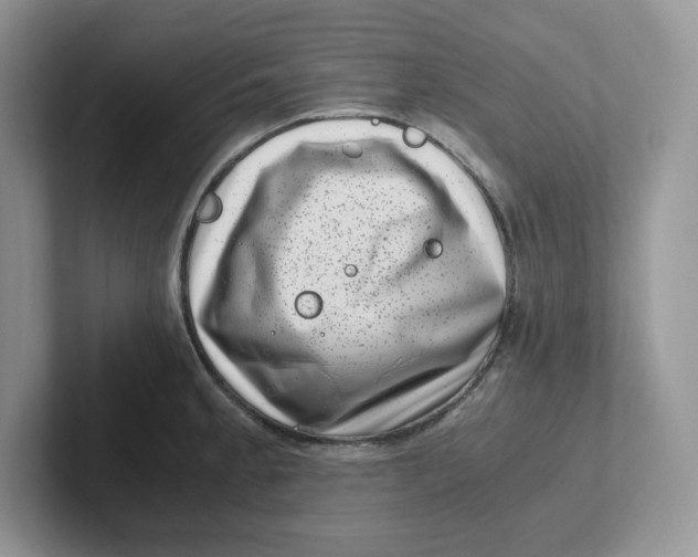 X0000101711189200807311446