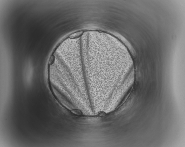 X0000101711191200807311446