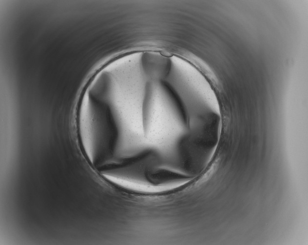 X0000101711192200807311445