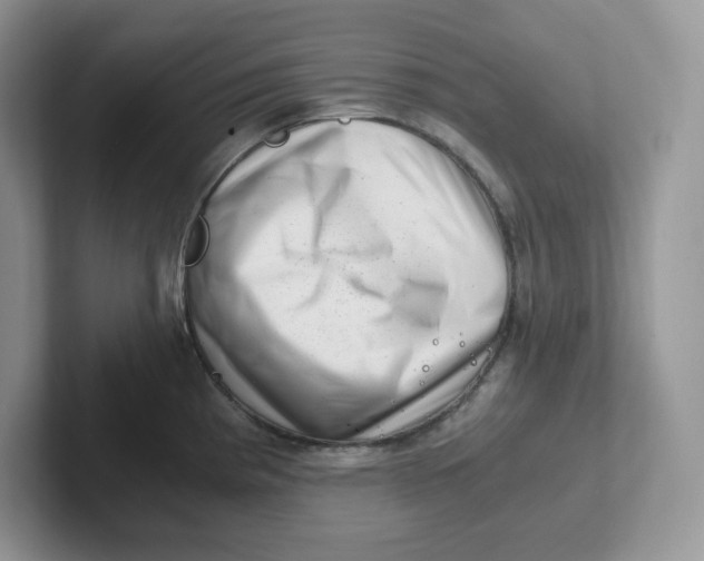 X0000101711193200807311445