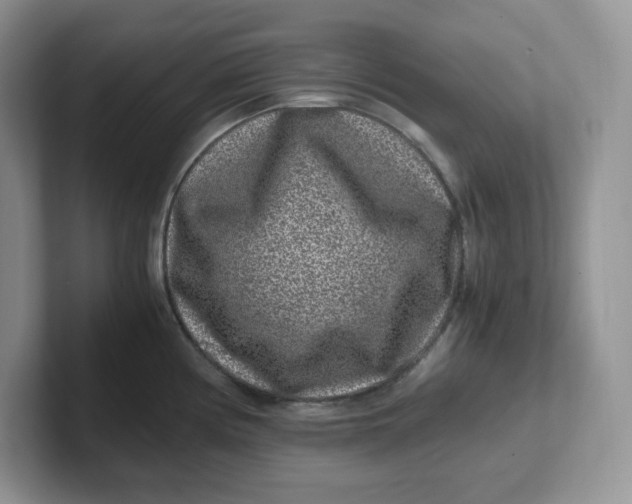 X0000101711194200807311445