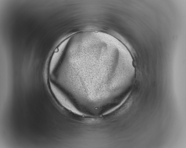 X0000101711195200807311445