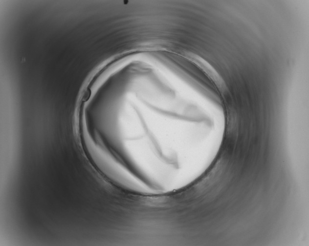 X0000101711196200807311445