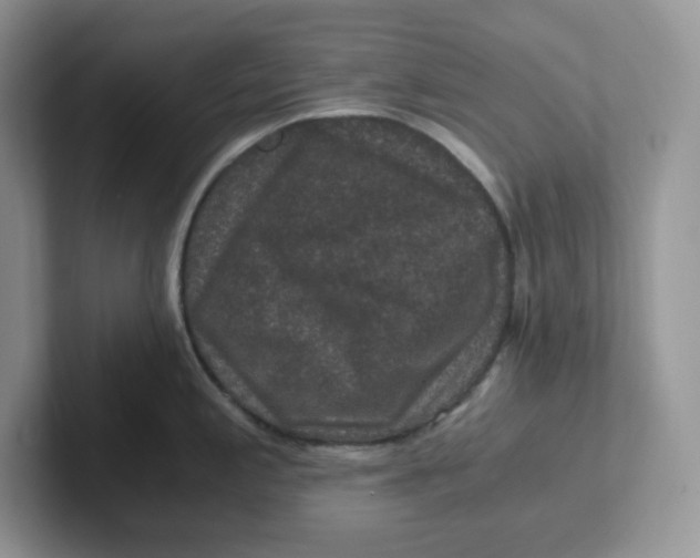 X0000101711197200807311445