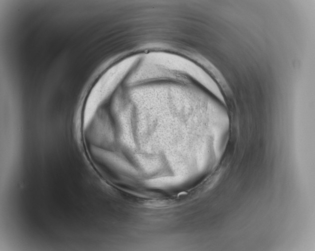 X0000101711199200807311445