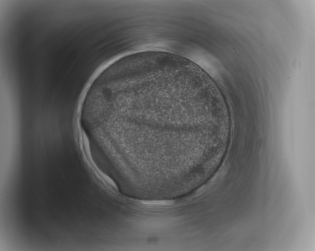 X0000101711200200807311445