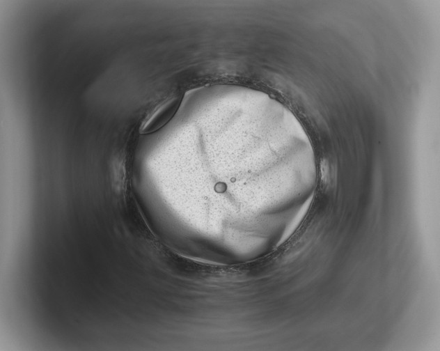 X0000101711203200807311445