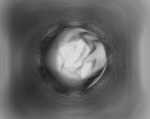 X0000101711205200807311445