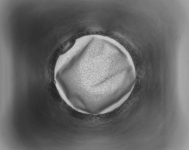 X0000101711207200807311445