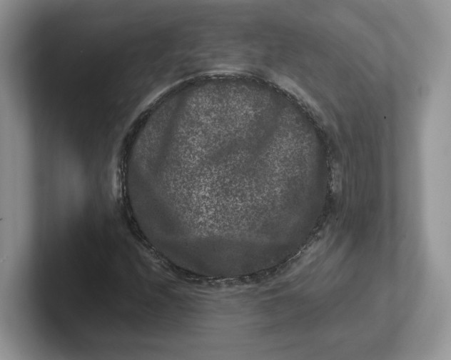 X0000101711208200807311445