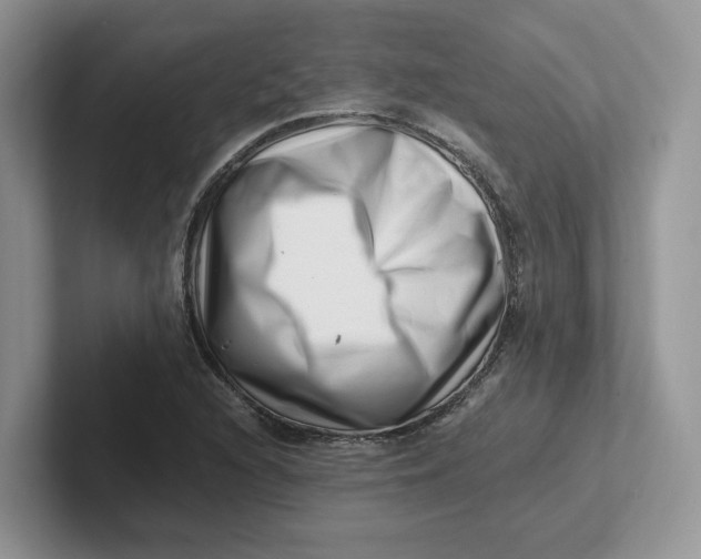 X0000101711216200807311445