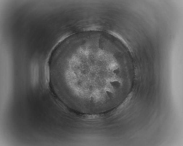 X0000101711219200807311445