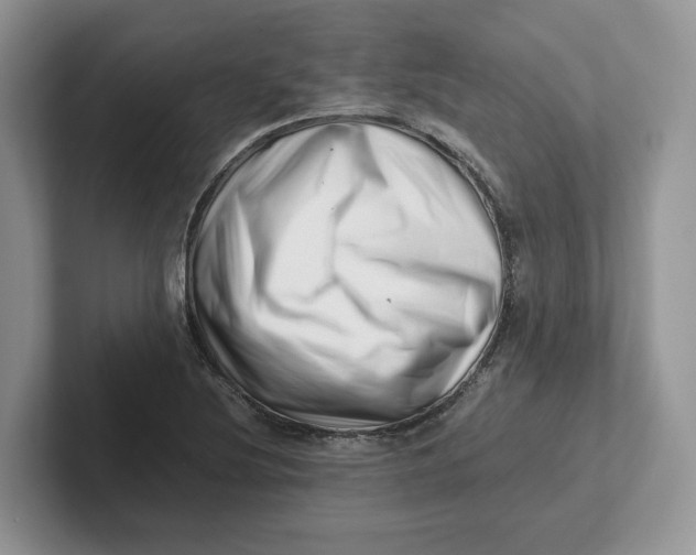 X0000101711220200807311445