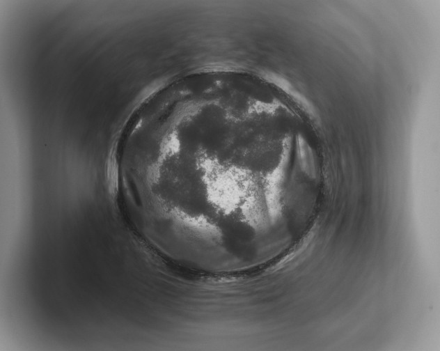 X0000101711221200807311445