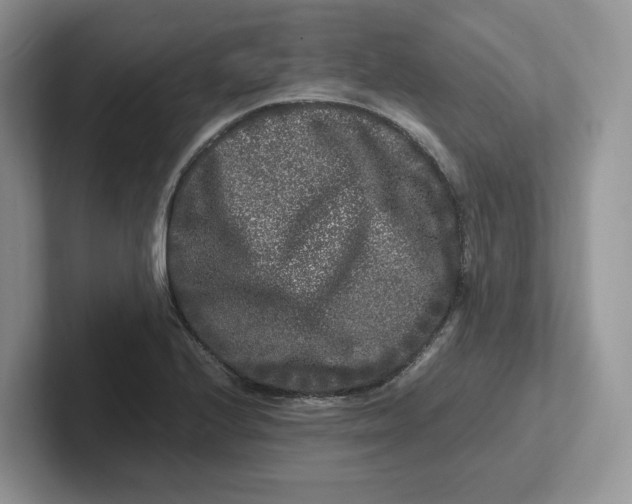 X0000101711224200807311445