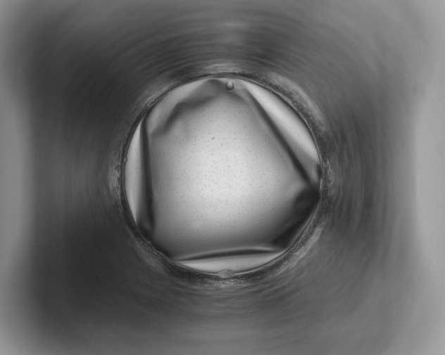 X0000101711225200807311445