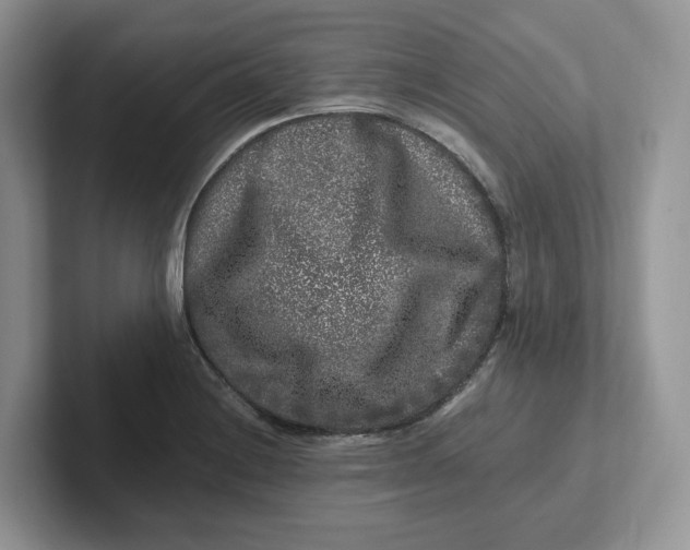 X0000101711228200807311445