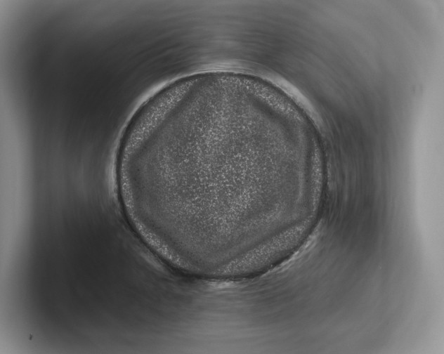 X0000101711230200807311445