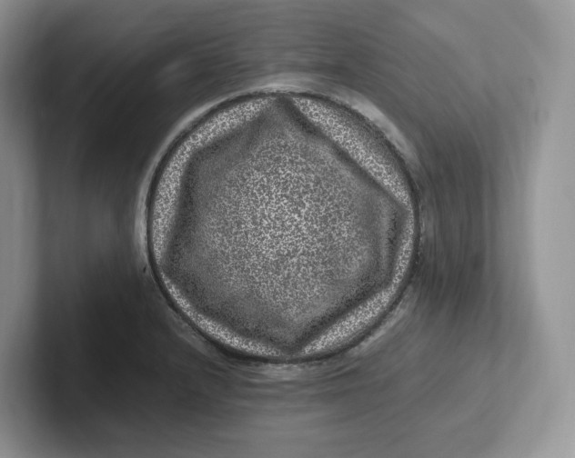 X0000101711232200807311445