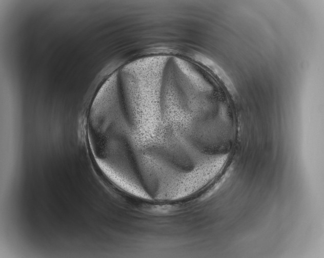 X0000101711233200807311445