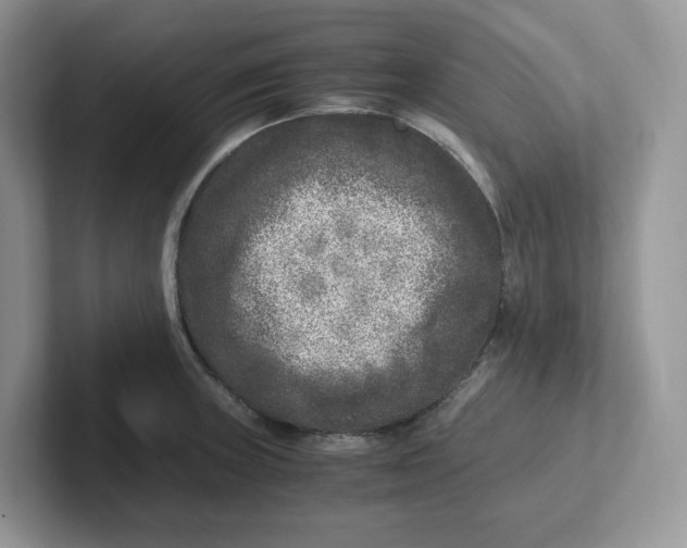 X0000101711235200807311445