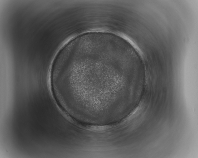 X0000101711237200807311445