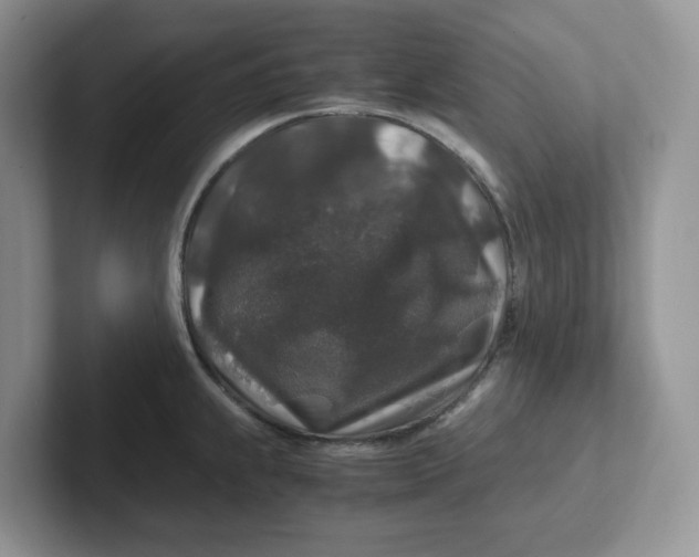 X0000101711239200807311445