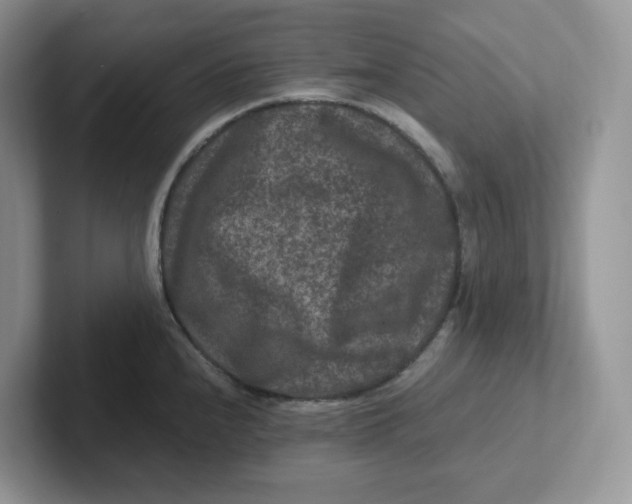 X0000101711240200807311445