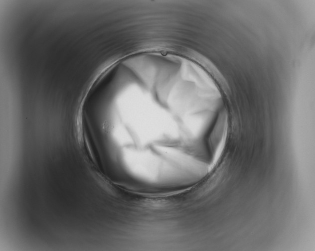 X0000101711242200807311445