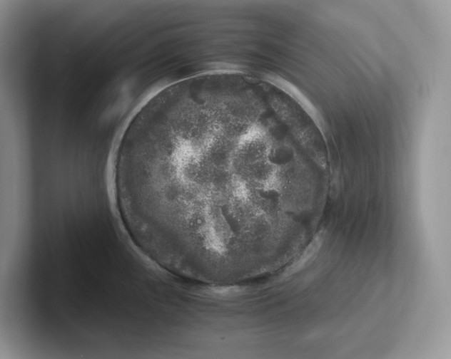 X0000101711243200807311445