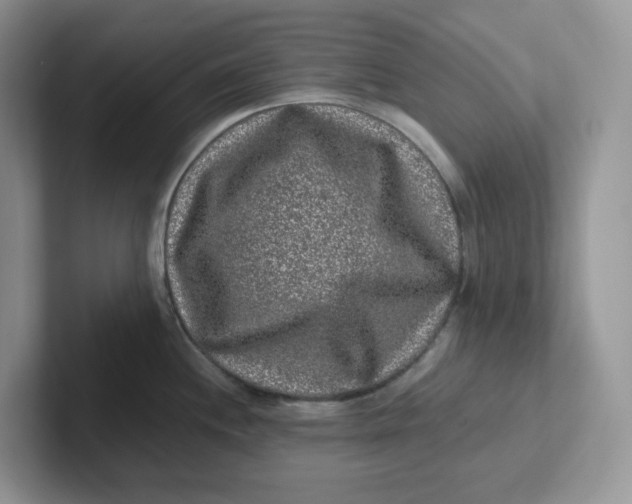 X0000101711244200807311445