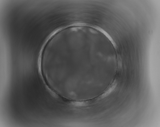 X0000101711245200807311445