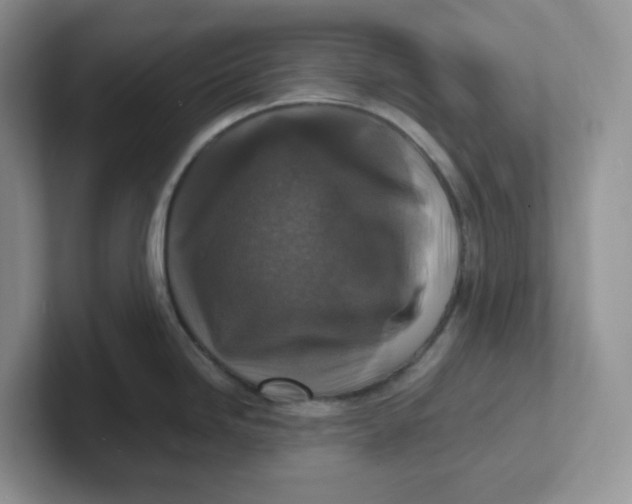 X0000101711246200807311445