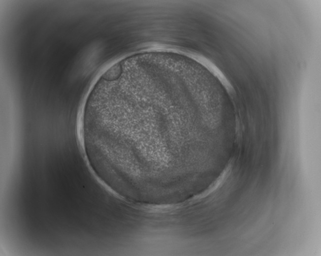 X0000101711247200807311445